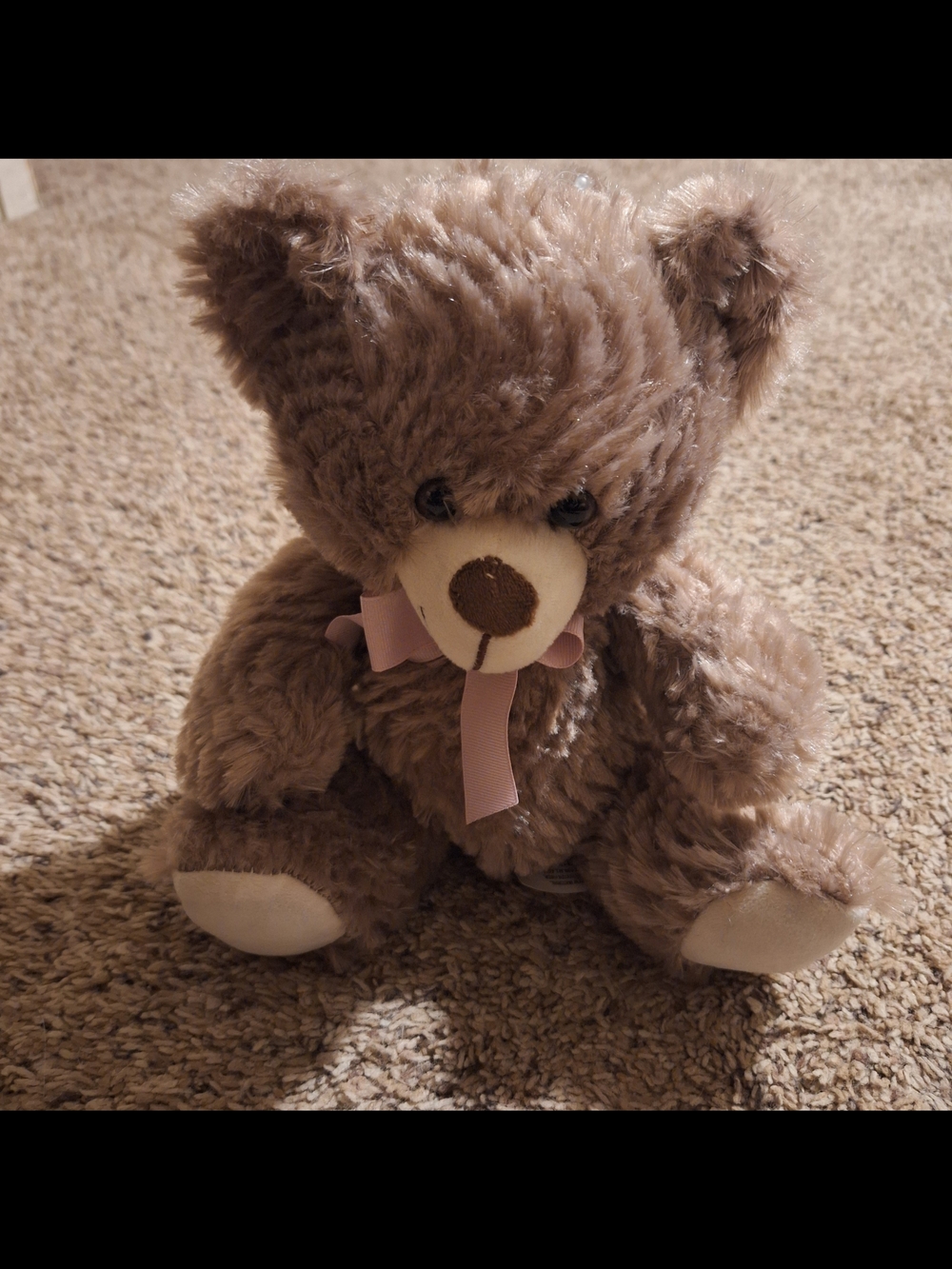 burton + BURTON Brown Wavy Fur Plush Teddy Bear Pink Bow 10"